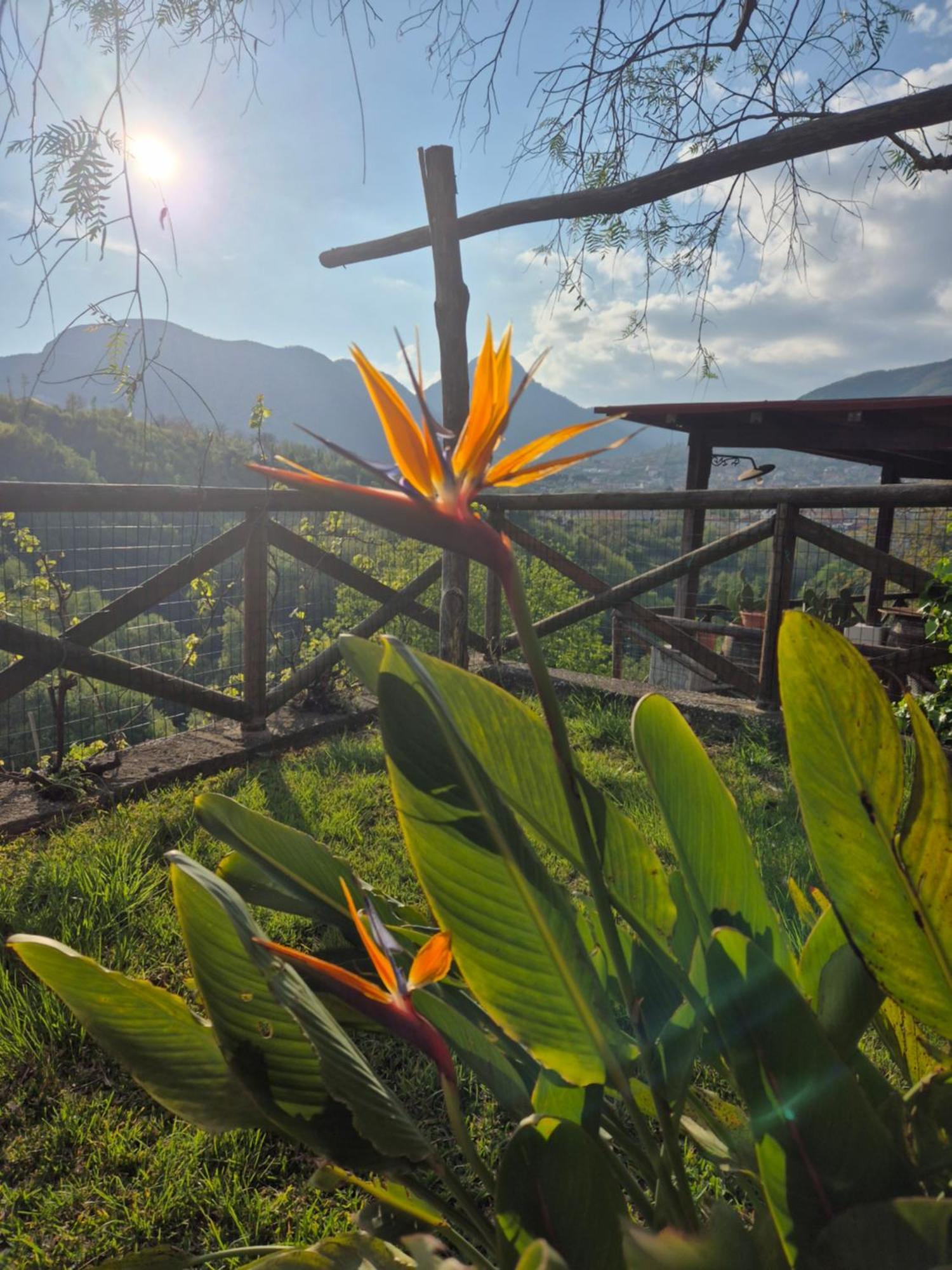 La Cicogna Bed & Breakfast Agerola Eksteriør bilde