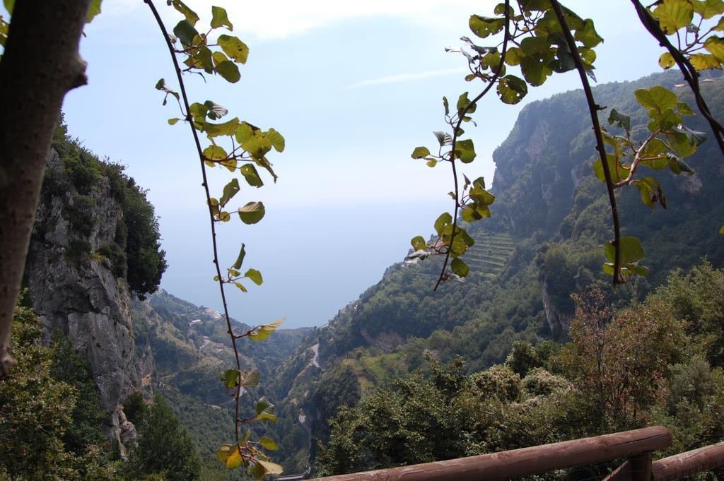 La Cicogna Bed & Breakfast Agerola Eksteriør bilde